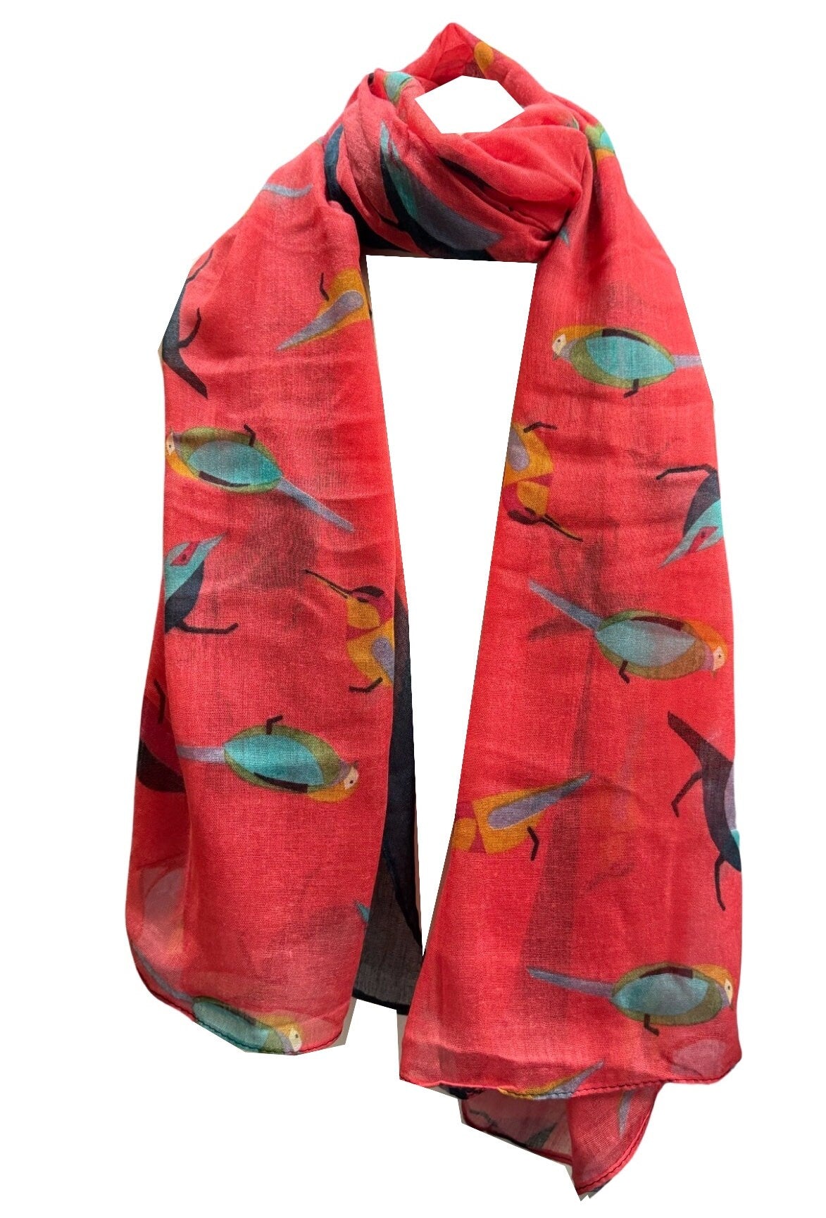 Colorful Christmas Robin Bird Print Girls Lady Women Long Cute Scarf Wraps Shawl Soft Scarves Maxi With Border
