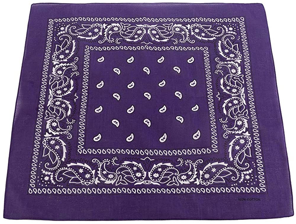 World of Shawls Cotton Paisley Bandanas Headband Scarf Print, Fashion Hair Accessory, Sports, Multifunctional