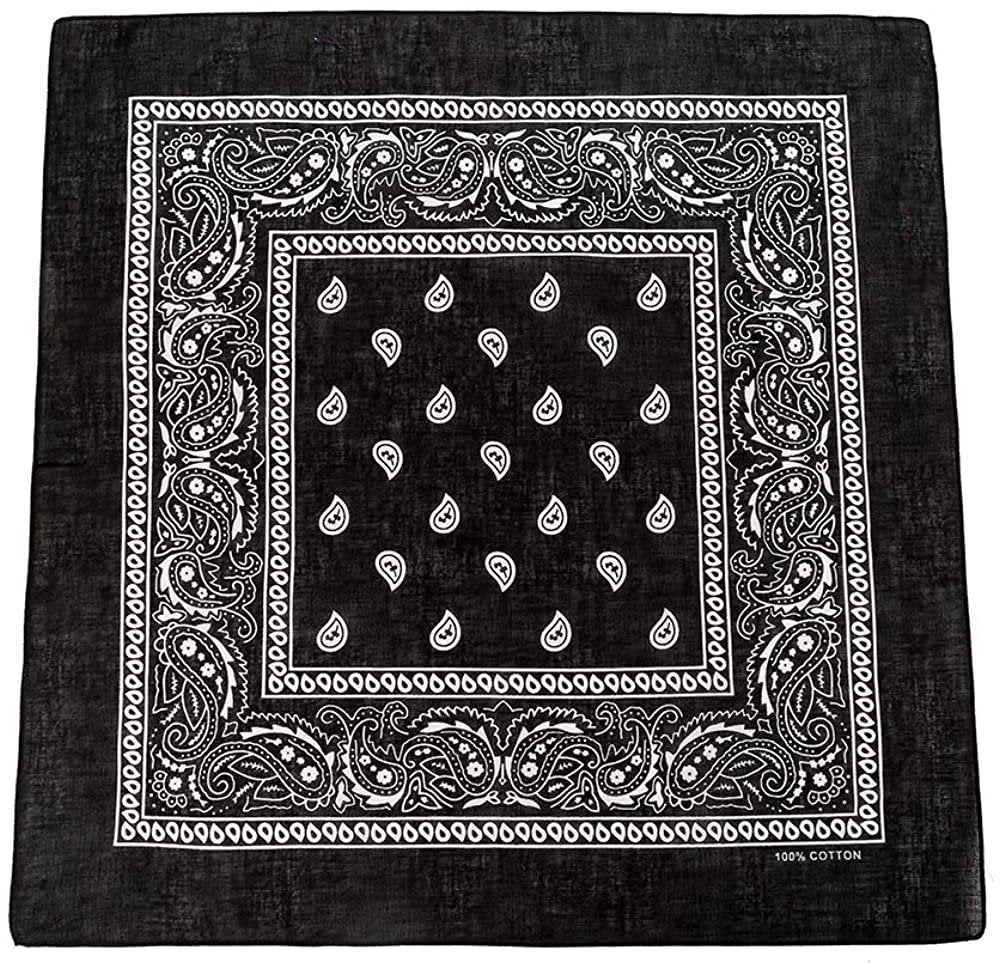 World of Shawls Cotton Paisley Bandanas Headband Scarf Print, Fashion Hair Accessory, Sports, Multifunctional